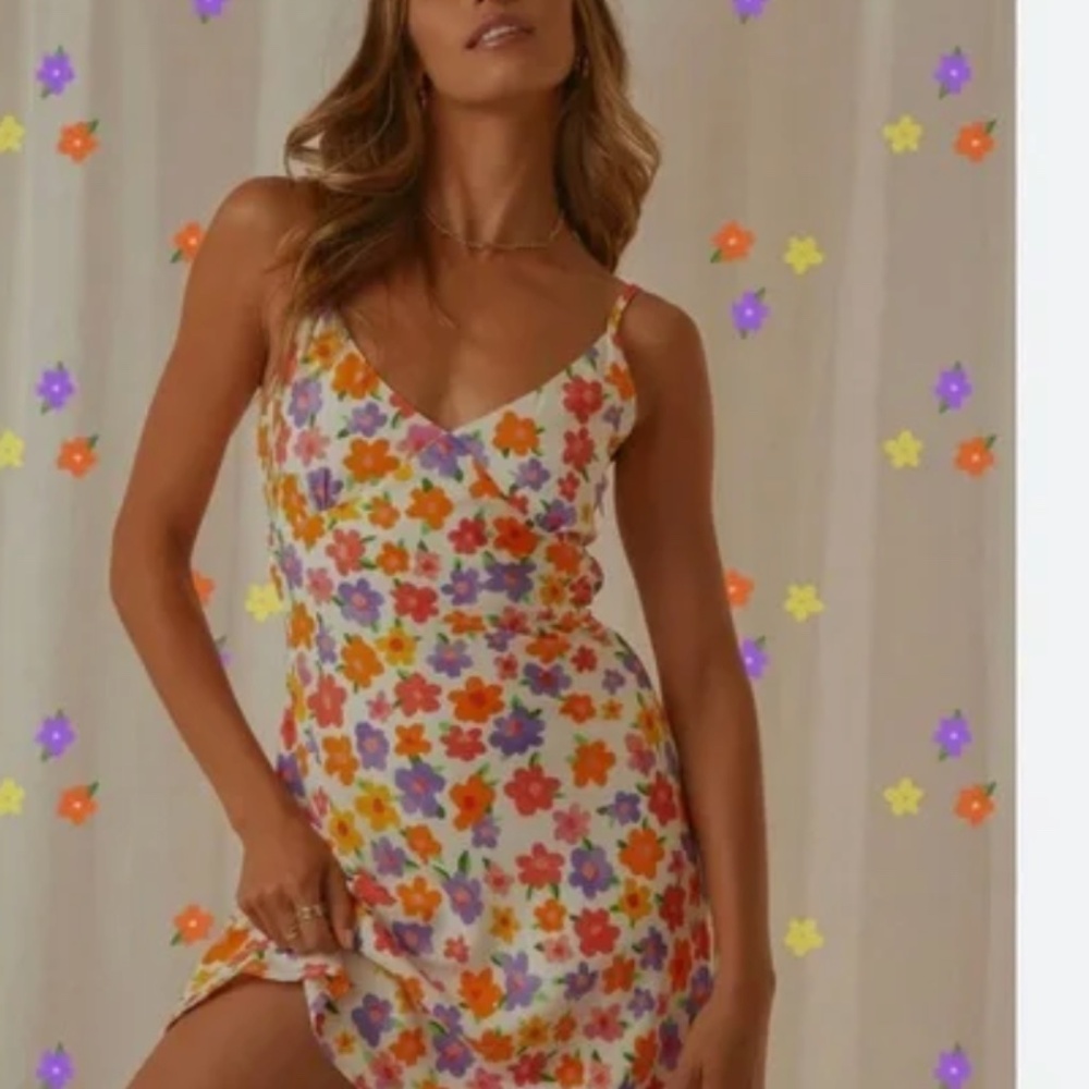 Peppermayo NWOT - In The Vineyards Mini Dress - Blooming